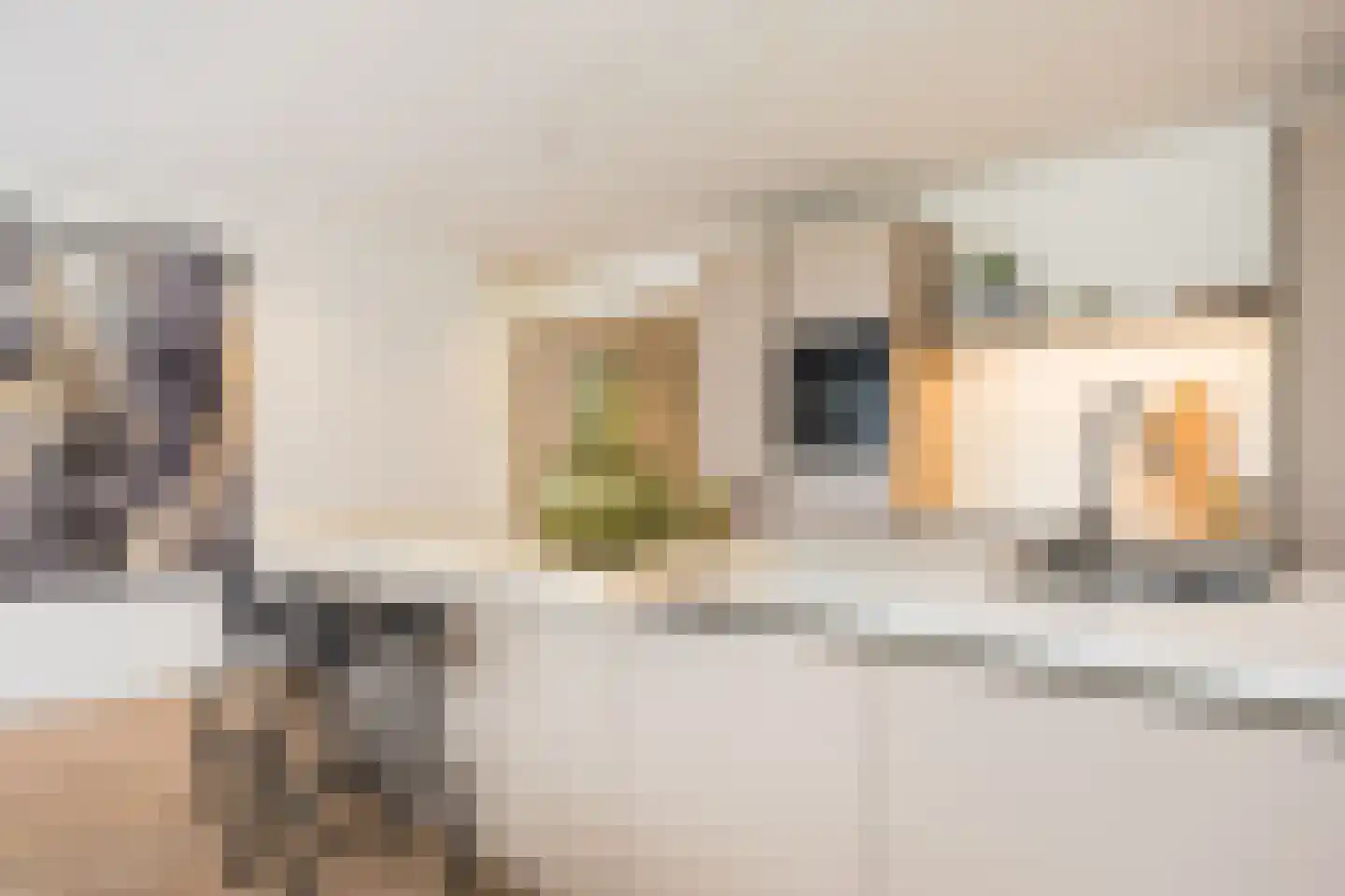 Almelosestraat 49 A Ootmarsum thumbnail 23