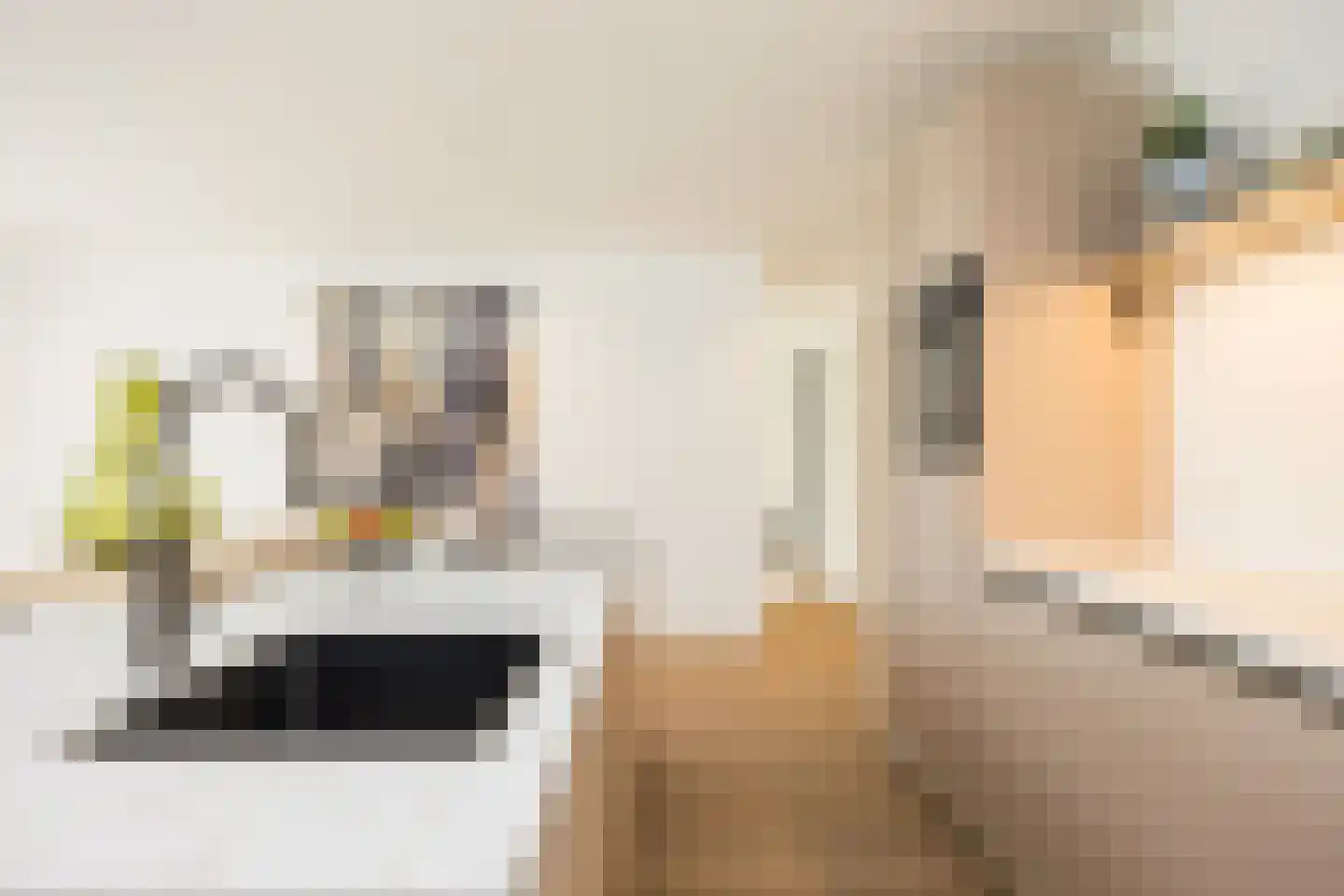 Almelosestraat 49 A Ootmarsum thumbnail 24
