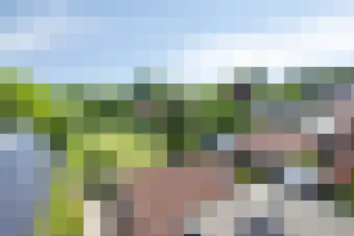 Almelosestraat 49 A Ootmarsum thumbnail 24