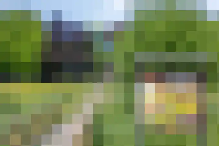 Almelosestraat 49 A Ootmarsum thumbnail 33