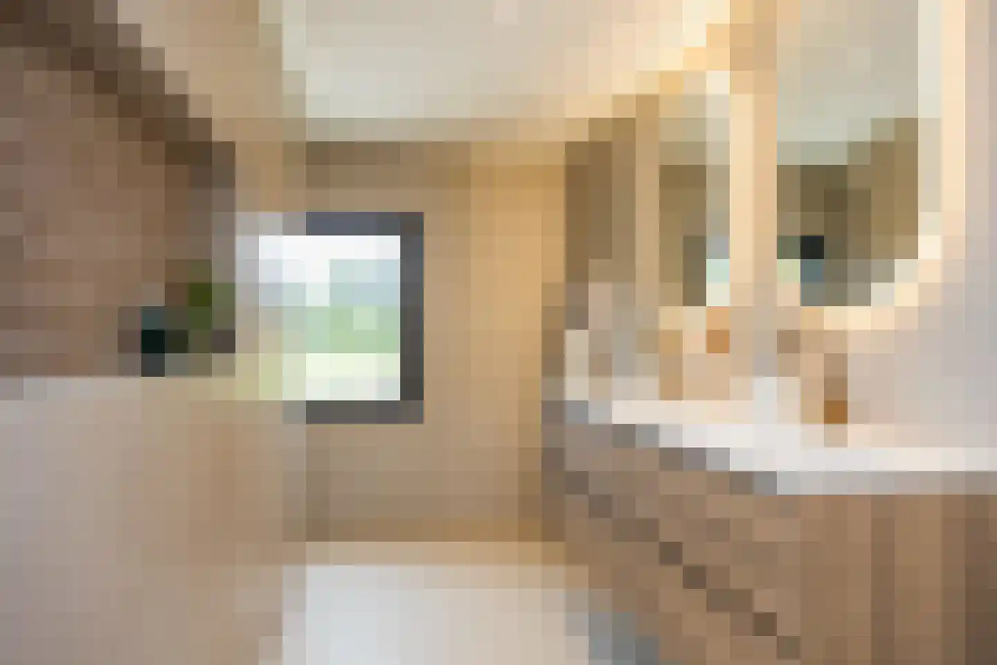 Almelosestraat 49 A Ootmarsum thumbnail 34