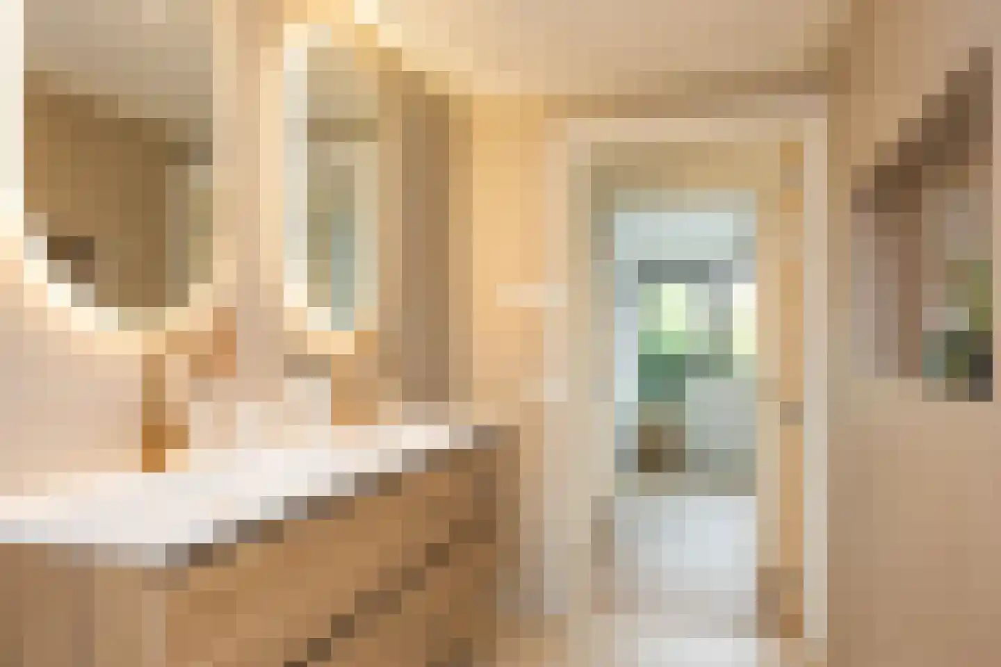 Almelosestraat 49 A Ootmarsum thumbnail 37