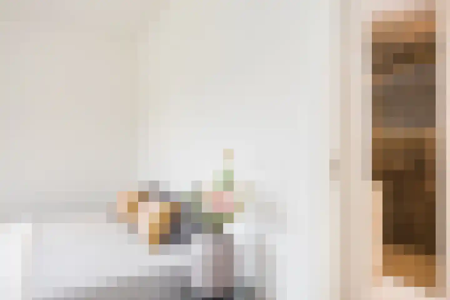 Almelosestraat 49 A Ootmarsum thumbnail 9
