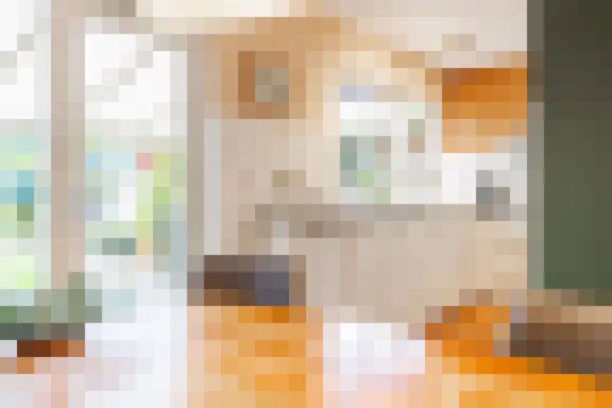 Almelosestraat 50 e Wierden thumbnail 14