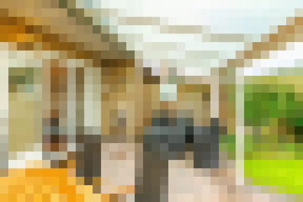Almelosestraat 50 e Wierden thumbnail 34
