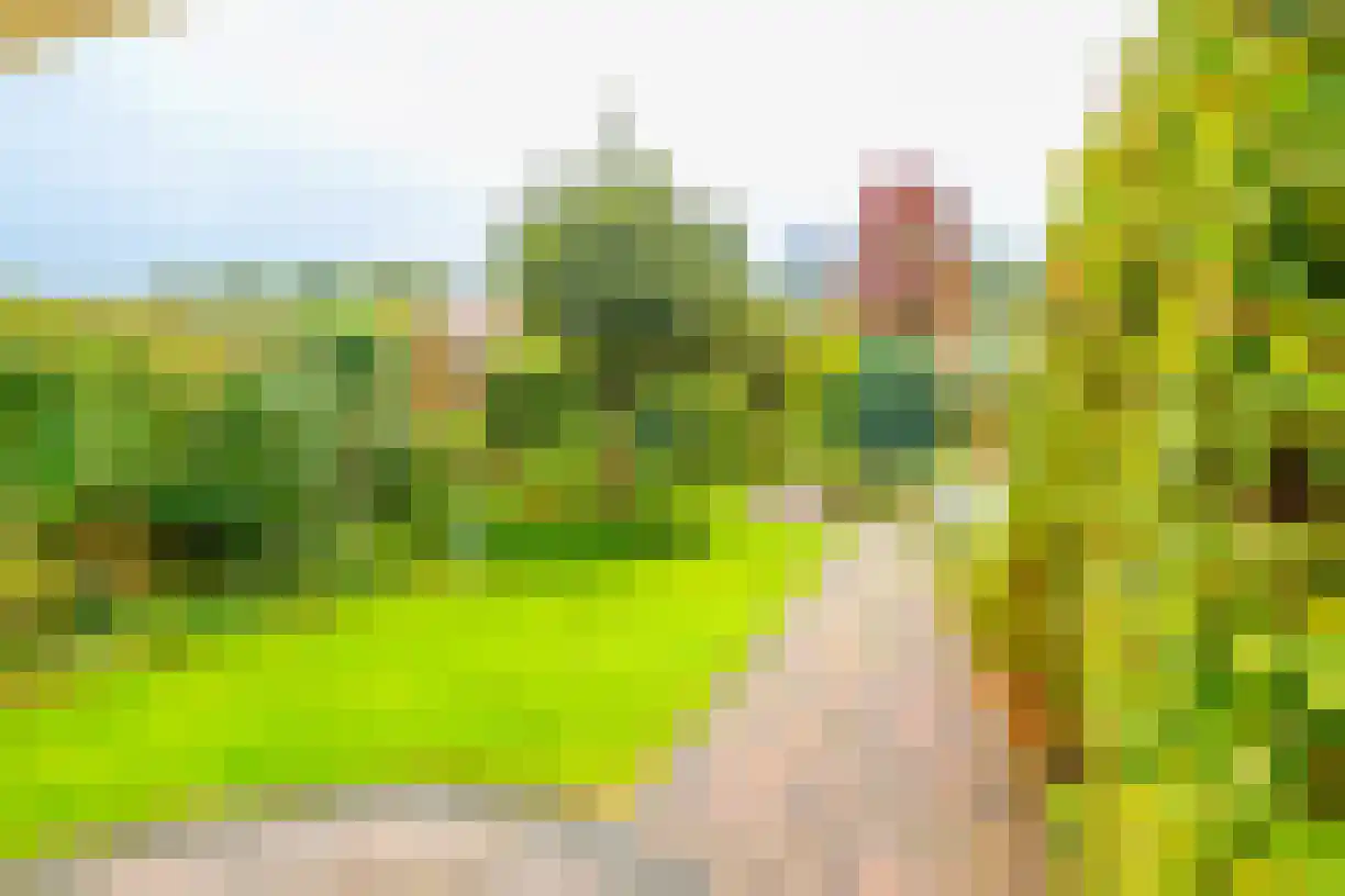 Almelosestraat 50 e Wierden thumbnail 36