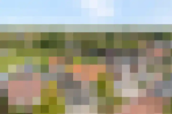 Almelosestraat 59 in Raalte