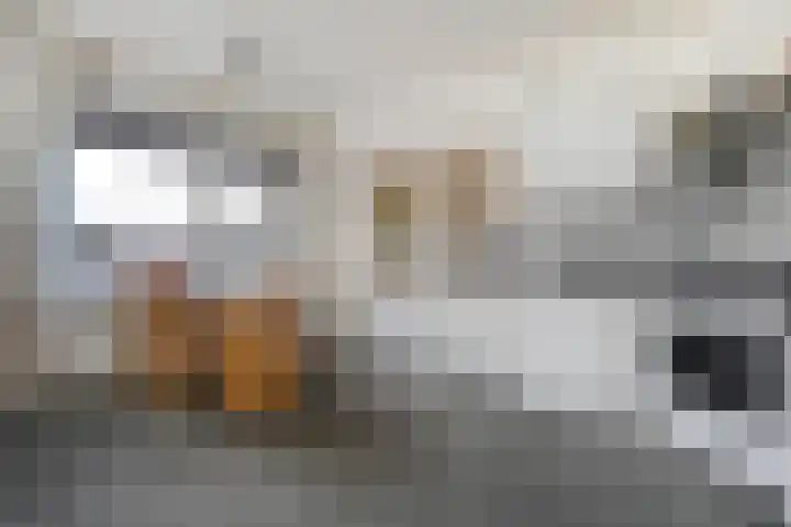 Almelosestraat 59 Raalte thumbnail 17