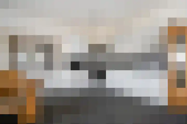 Almelosestraat 59 Raalte thumbnail 18