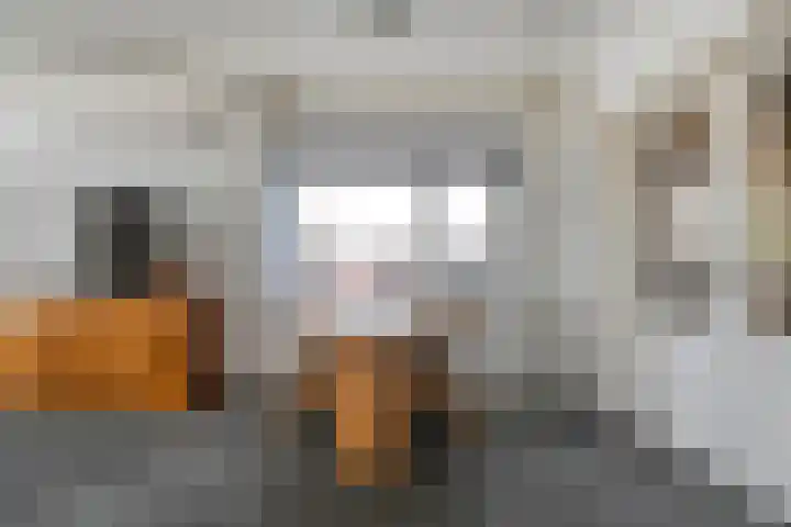 Almelosestraat 59 Raalte thumbnail 19