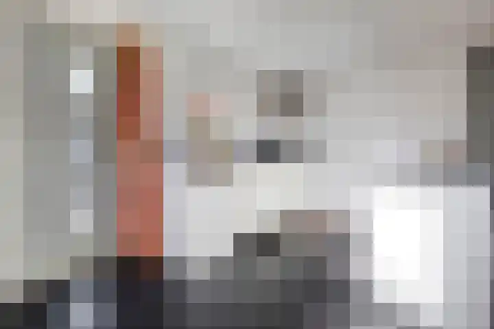 Almelosestraat 59 Raalte thumbnail 36