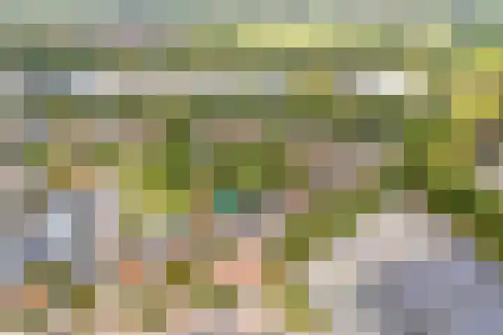 Almelosestraat 59 Raalte thumbnail 4