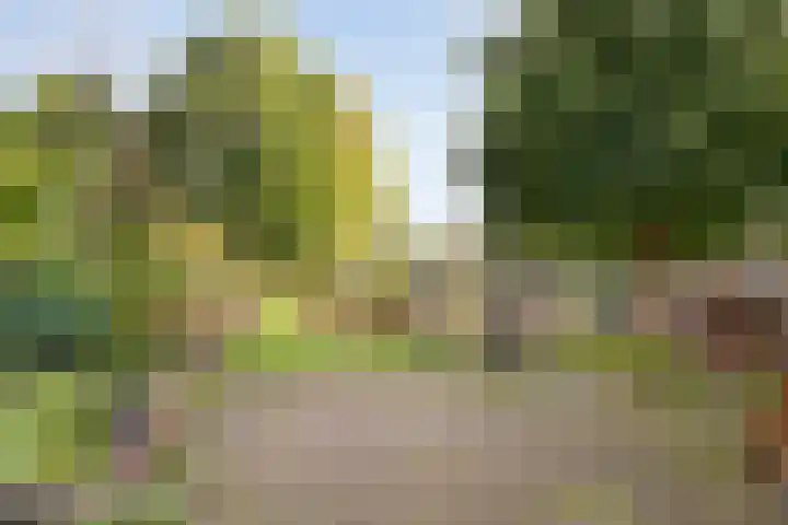 Almelosestraat 59 Raalte thumbnail 53