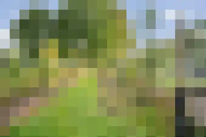 Almelosestraat 59 Raalte thumbnail 55