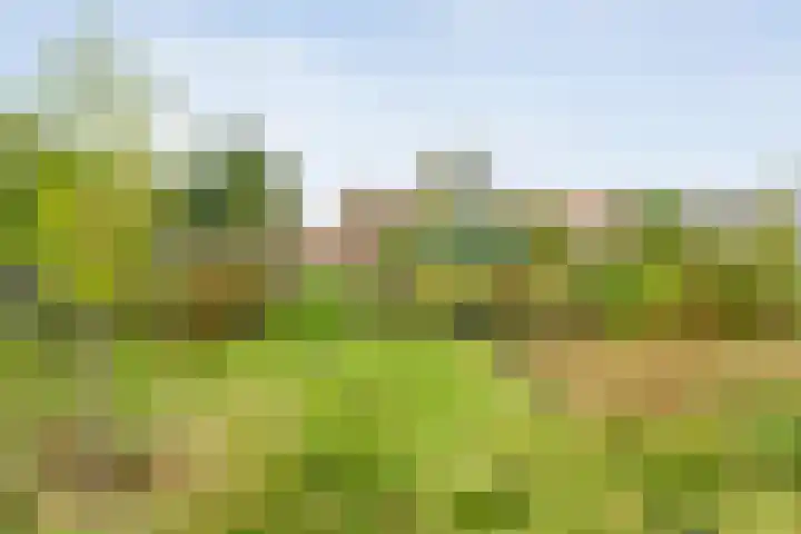 Almelosestraat 59 Raalte thumbnail 56