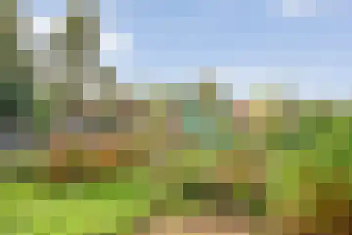Almelosestraat 59 Raalte thumbnail 57