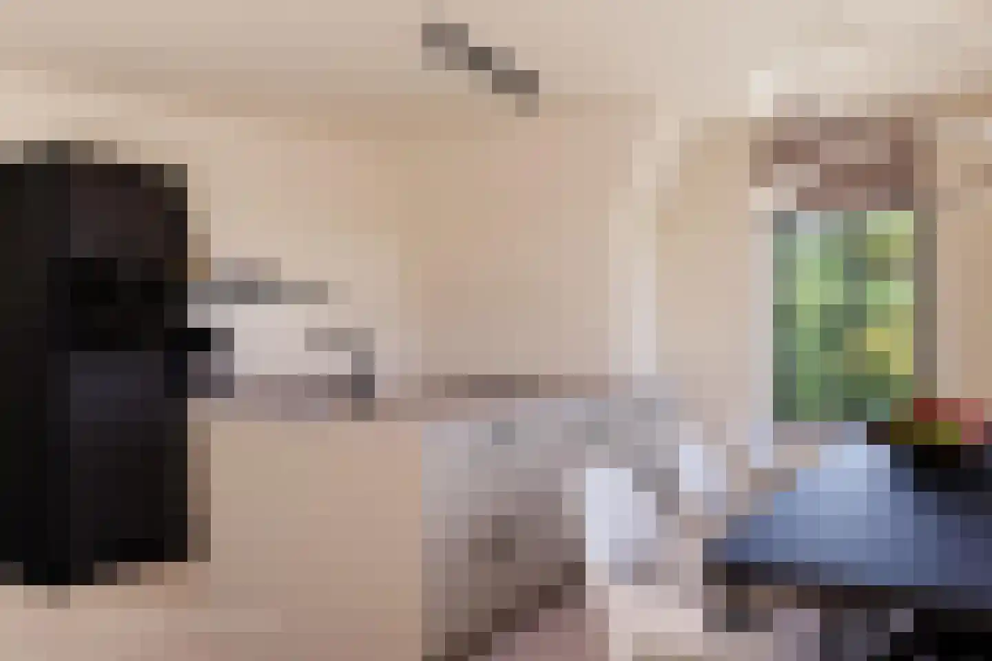 Almeloseweg 1 Tubbergen thumbnail 8