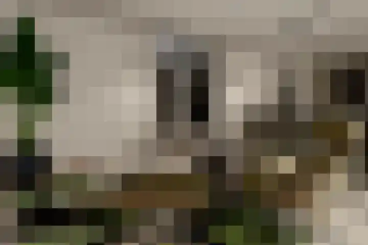 Almeloseweg 11 Tubbergen thumbnail 11