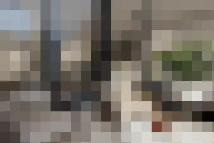 Almeloseweg 11 Tubbergen thumbnail 13