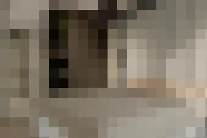 Almeloseweg 11 Tubbergen thumbnail 14