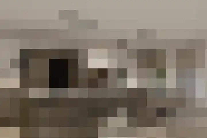 Almeloseweg 11 Tubbergen thumbnail 8