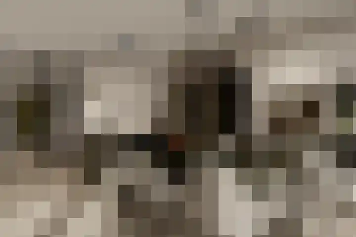 Almeloseweg 11 Tubbergen thumbnail 9
