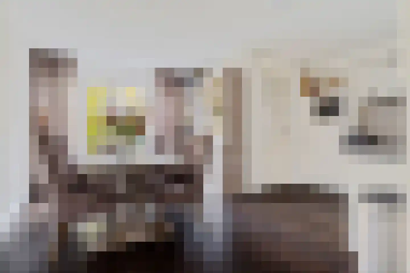 Almeloseweg 158 Harbrinkhoek thumbnail 14