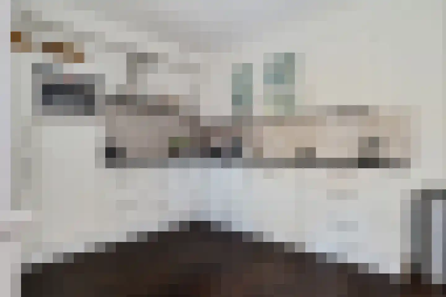Almeloseweg 158 Harbrinkhoek thumbnail 16