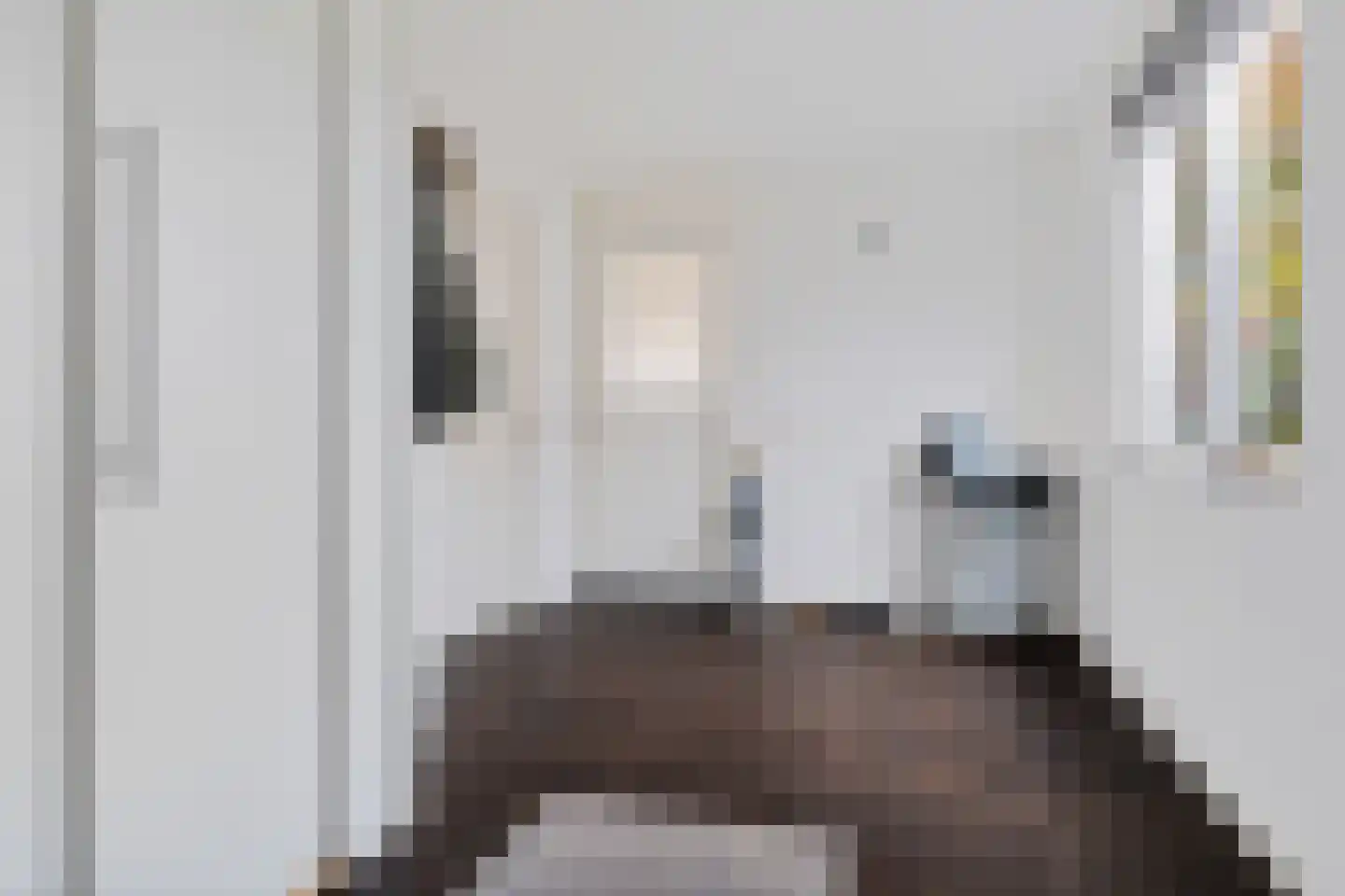 Almeloseweg 158 Harbrinkhoek thumbnail 21