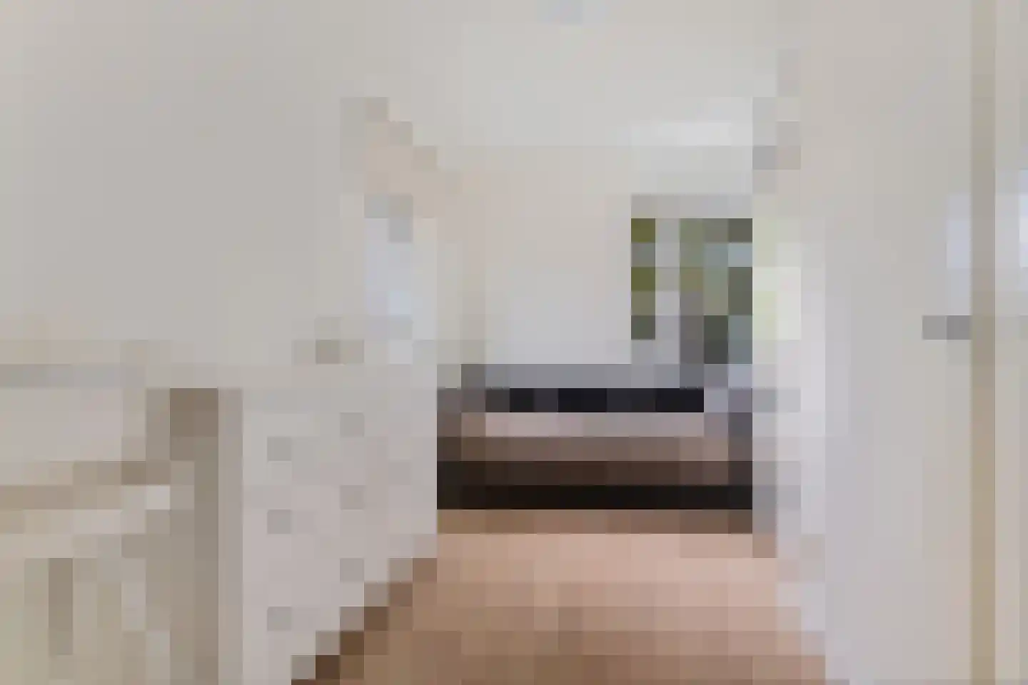 Almeloseweg 158 Harbrinkhoek thumbnail 23
