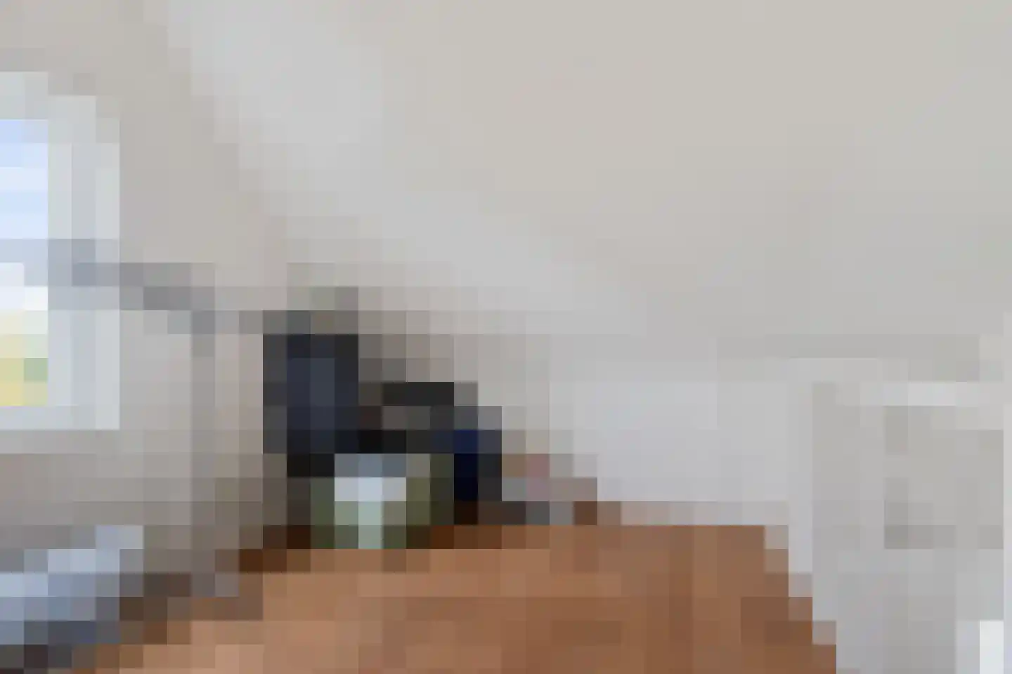 Almeloseweg 158 Harbrinkhoek thumbnail 34