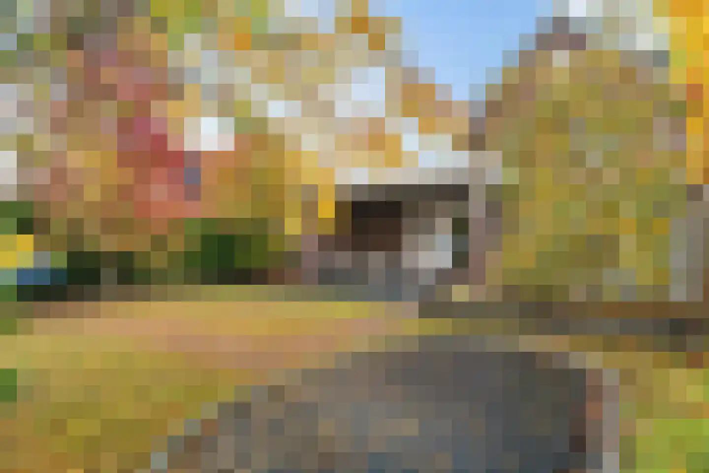 Almeloseweg 158 Harbrinkhoek thumbnail 38