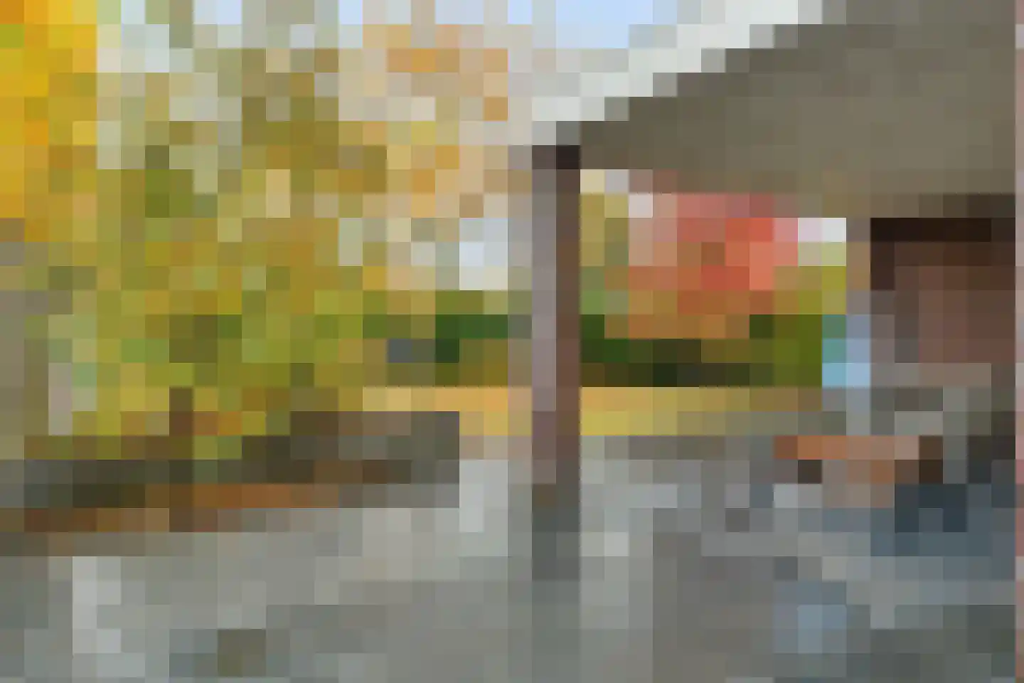 Almeloseweg 158 Harbrinkhoek thumbnail 40