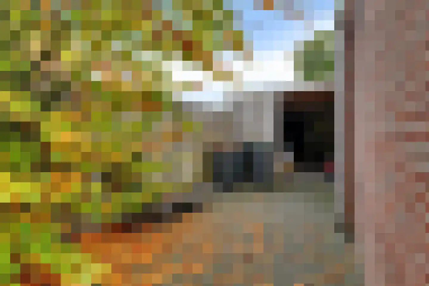 Almeloseweg 158 Harbrinkhoek thumbnail 41