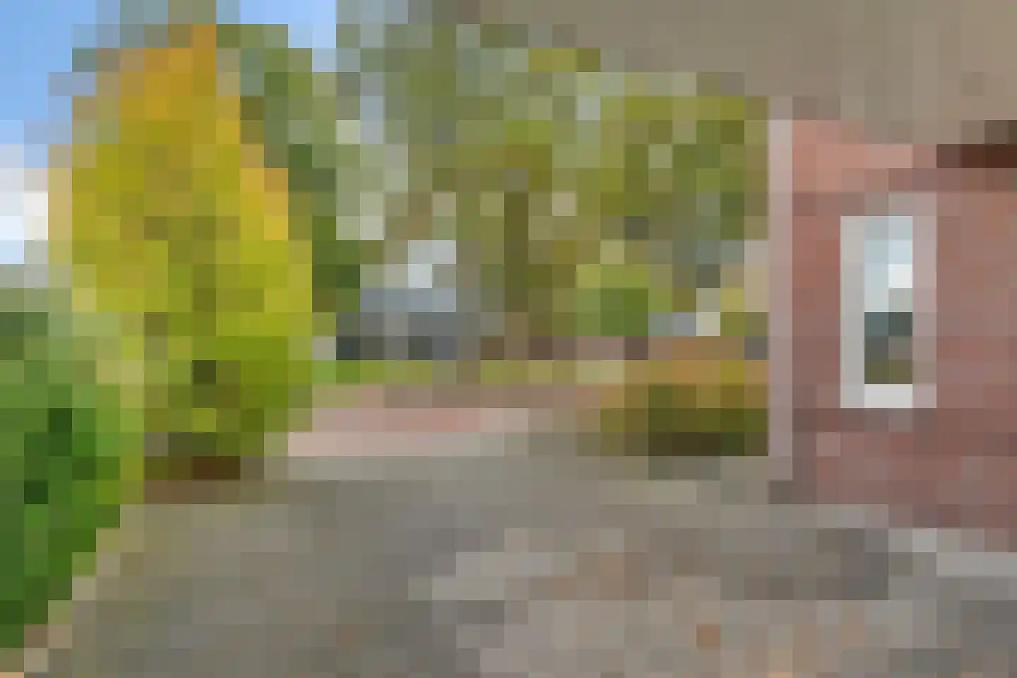 Almeloseweg 158 Harbrinkhoek thumbnail 5