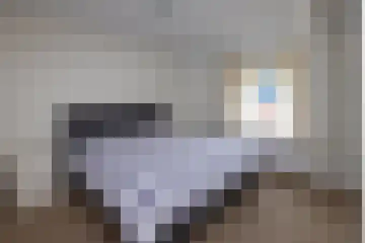 Almeloseweg 16 Tubbergen thumbnail 14