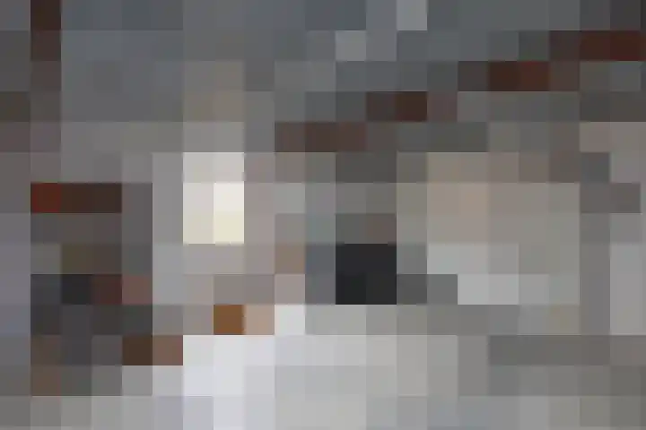 Almeloseweg 16 Tubbergen thumbnail 23