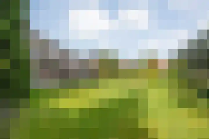 Almeloseweg 21 Tubbergen thumbnail 5