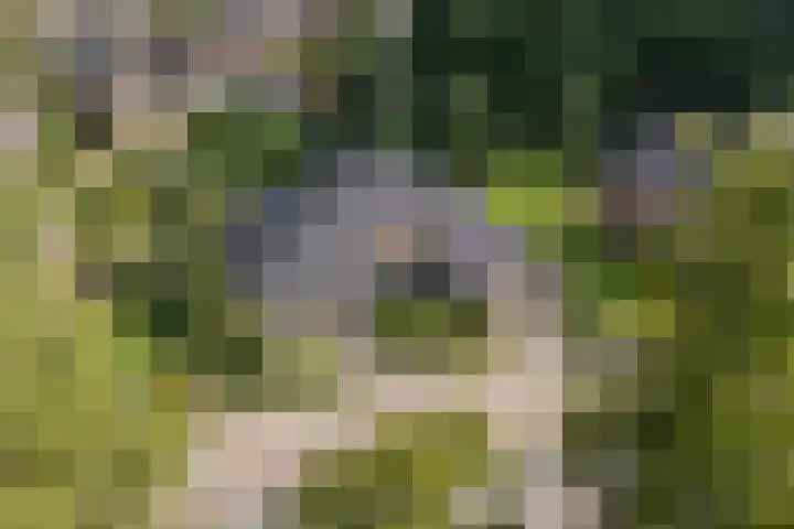 Almeloseweg 21 Tubbergen thumbnail 8