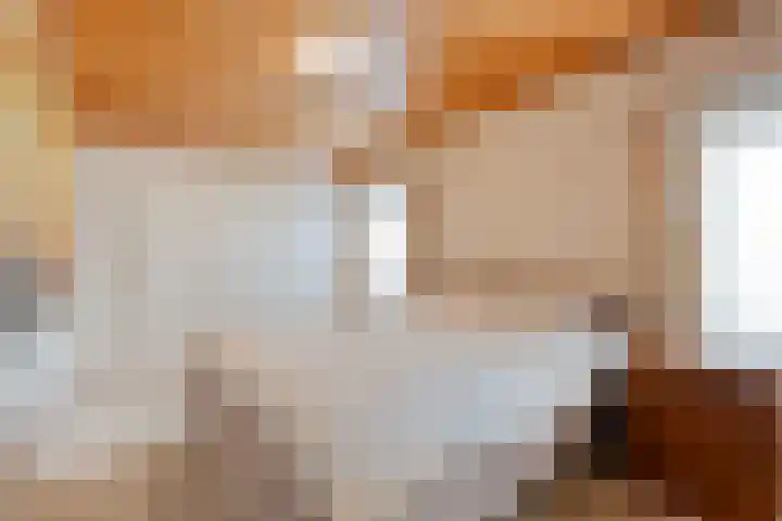 Almeloseweg 210 Mariaparochie thumbnail 15