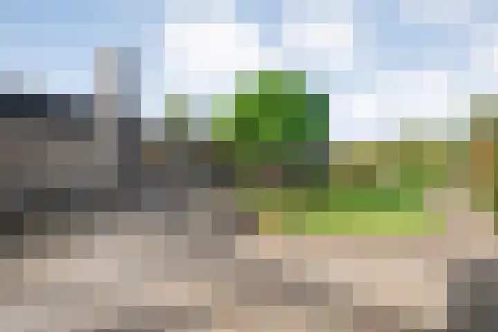Almeloseweg 210 Mariaparochie thumbnail 22