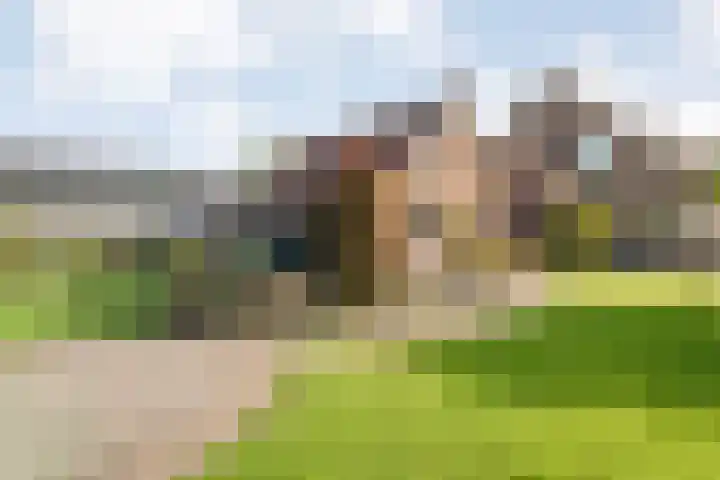 Almeloseweg 210 Mariaparochie thumbnail 5
