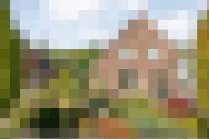 Almeloseweg 210 Mariaparochie thumbnail 6