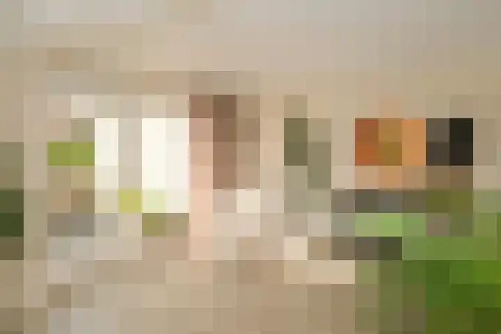 Almeloseweg 216 Mariaparochie thumbnail 11