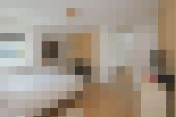 Almeloseweg 216 Mariaparochie thumbnail 24