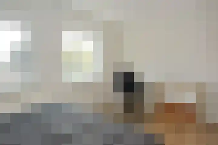 Almeloseweg 216 Mariaparochie thumbnail 32
