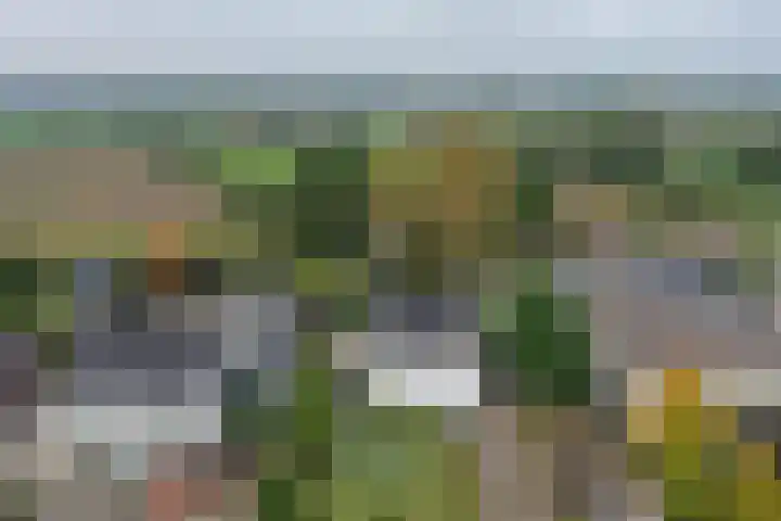 Almeloseweg 216 Mariaparochie thumbnail 33