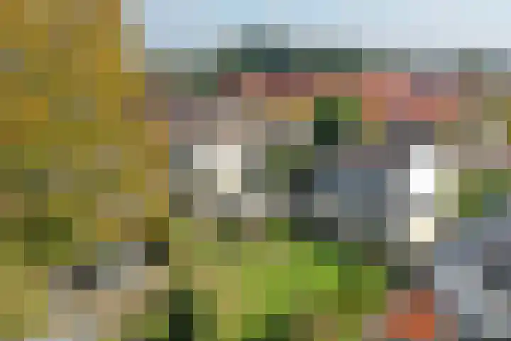 Almeloseweg 216 Mariaparochie thumbnail 38