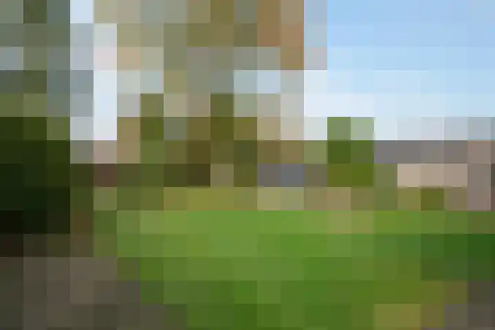 Almeloseweg 216 Mariaparochie thumbnail 4