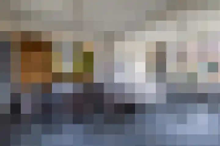Almeloseweg 50 Vriezenveen thumbnail 14